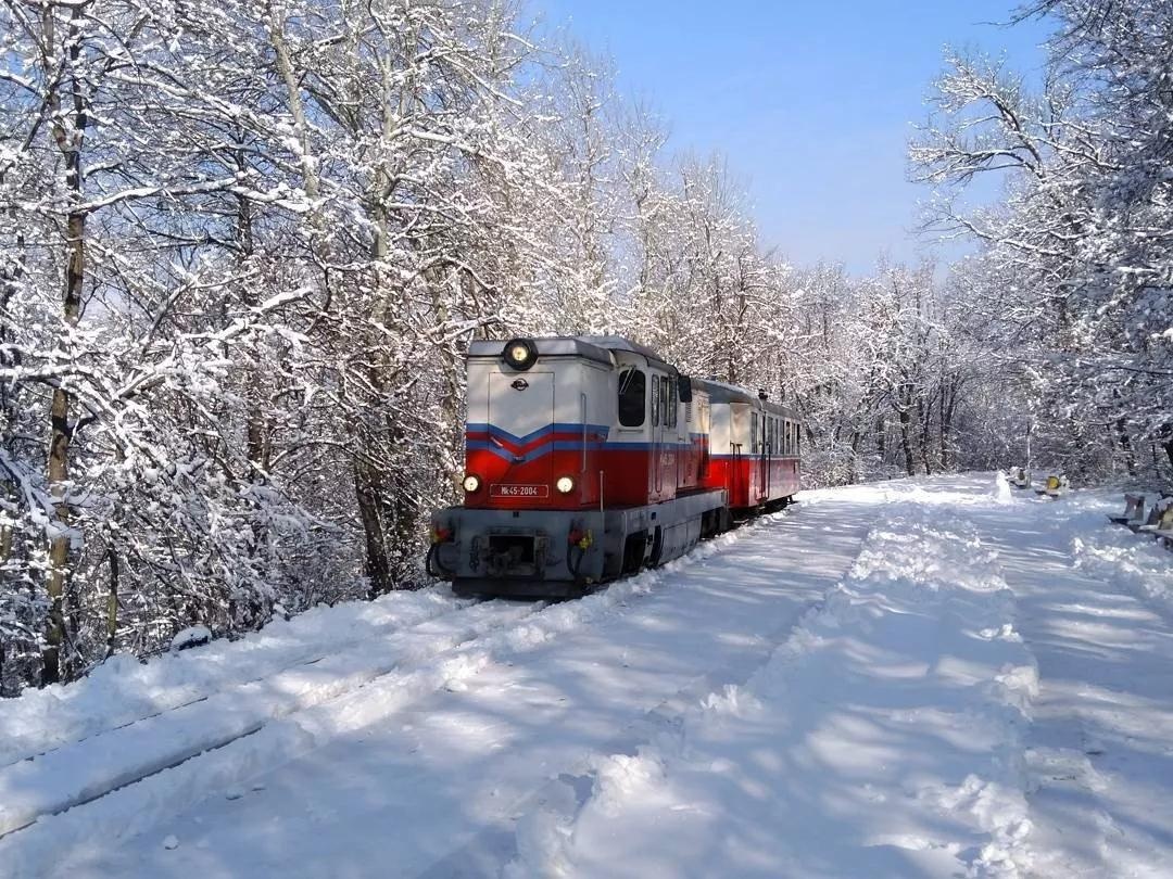 軌道火車