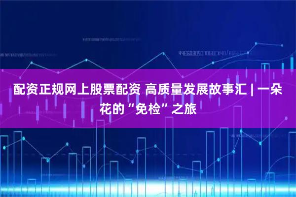 配资正规网上股票配资 高质量发展故事汇 | 一朵花的“免检”之旅